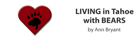 Living with BEARS in Tahoe by Ann Bryant