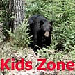 Kids Zone link