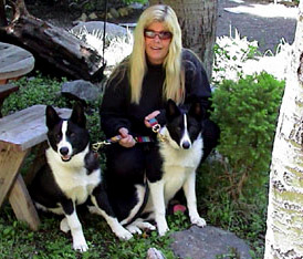 Ann and Karelian bear dogs