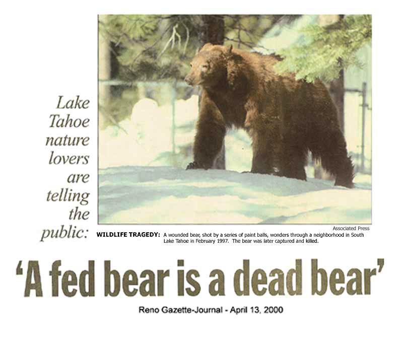 A fed bear is a dead bear