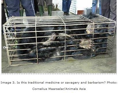savagery or barbarism?