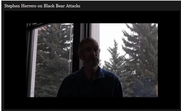 Stephen Herrero on Black Bear Attacks